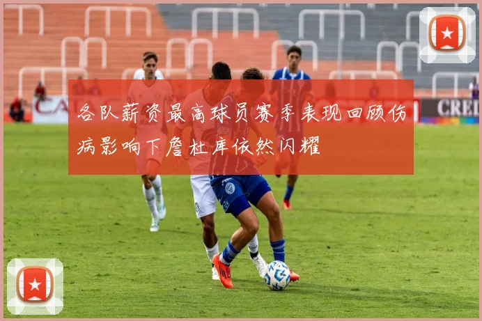各队薪资最高球员赛季表现回顾伤病影响下詹杜库依然闪耀